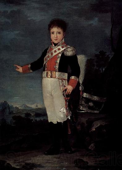 Francisco de Goya Portrat des Don Sebastian Gabriel de Borbon y Braganza Germany oil painting art